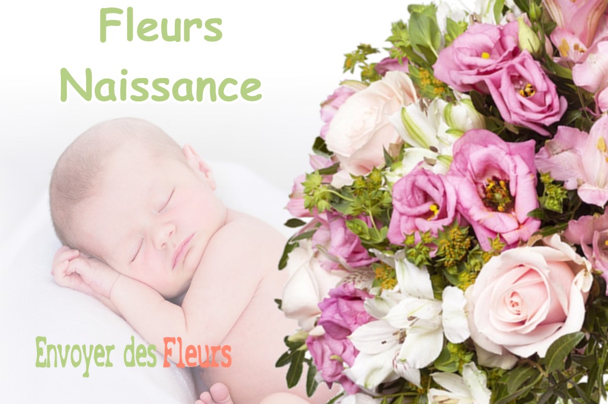 lIVRAISON FLEURS NAISSANCE à SAINT-JULIEN-SOUS-LES-COTES